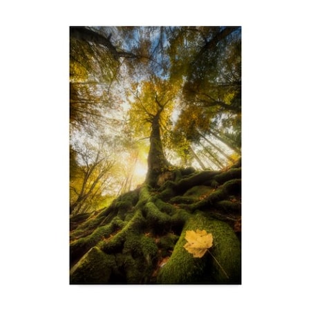 Alberto Ghizzi Panizza 'The Goodbye Of A Leaf' Canvas Art,30x47